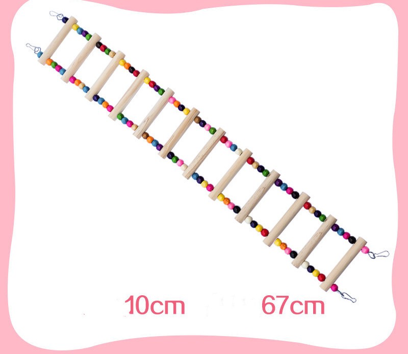 Perroquet avec jouets, anneau de balançoire, échelle aérienne, échelle d'escalade