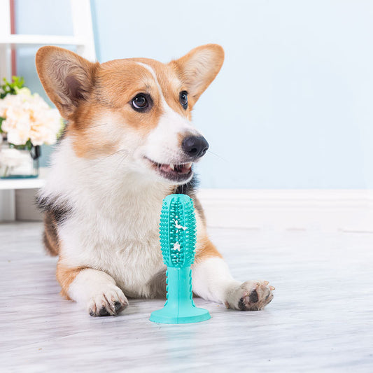 Nouvelle brosse à dents pour chien, bâtonnet de nettoyage des molaires, dispositif anti-fuites alimentaires, jouet résistant aux morsures pour chien
