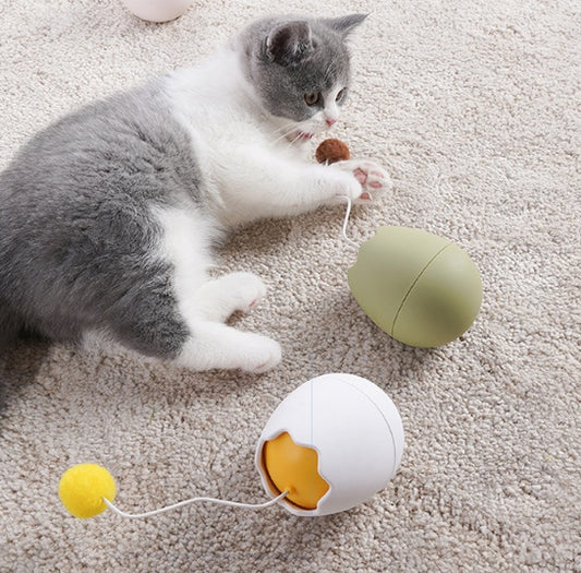 Jouets amusants pour chats