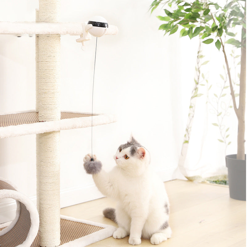 Balle interactive électrique à levage automatique pour chat