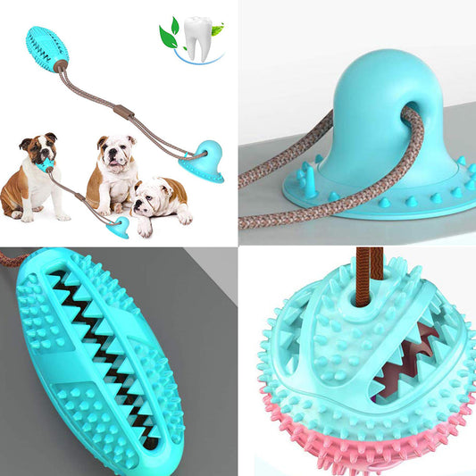 Jouet pour chien en silicone à ventouse, balle interactive à mâcher et à mordiller, brosse à dents, accessoires pour animaux de compagnie
