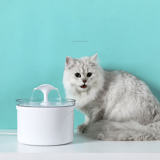 Fontaine à eau électrique automatique pour chiens et chats avec distributeur d'eau et affichage LED du niveau d'eau.