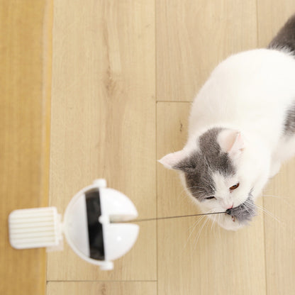 Balle interactive électrique à levage automatique pour chat