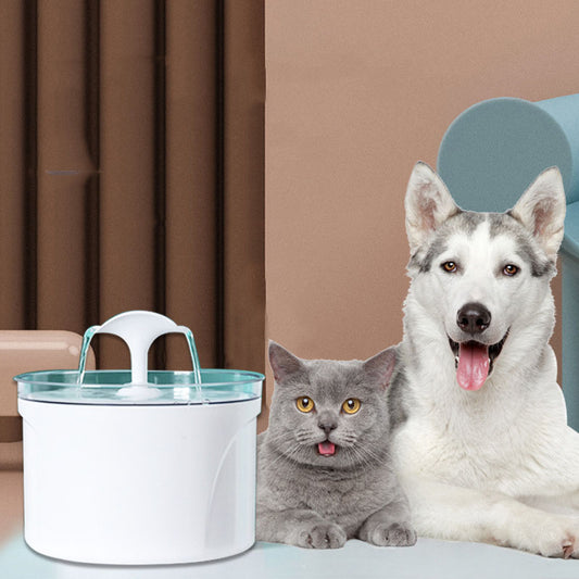 Fontaine à eau électrique automatique pour chiens et chats avec distributeur d'eau et affichage LED du niveau d'eau.