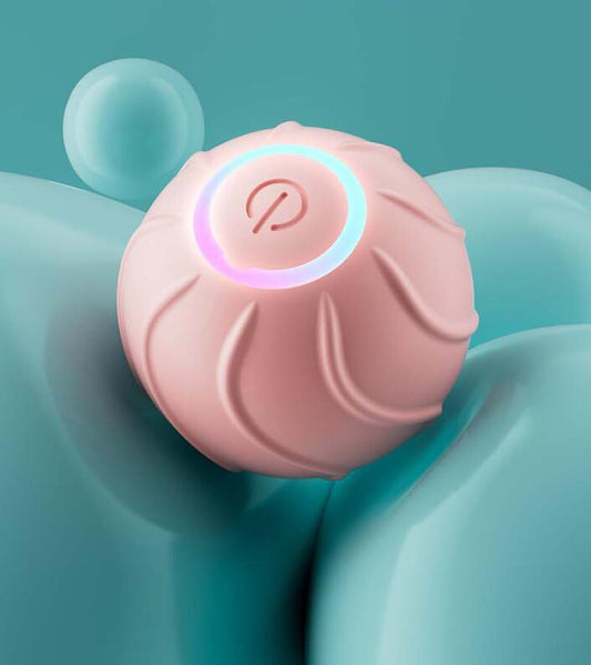 Balle interactive pour chat, jouet à rouler, balle rebondissante automatique USB pour chat et chatons.
