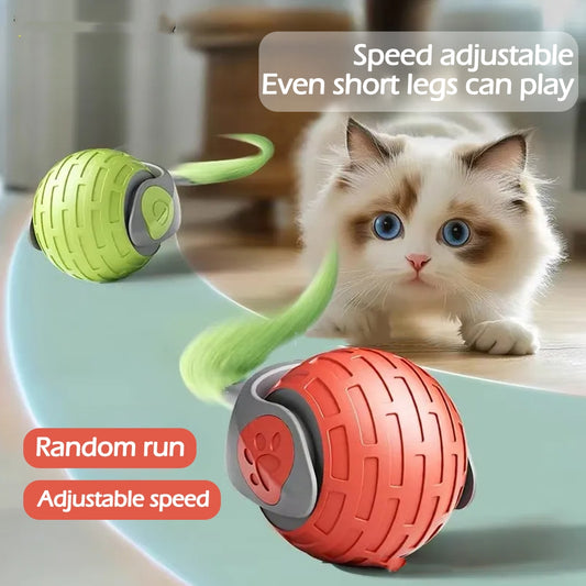 Nouveaux jouets interactifs pour chats : balle électrique automatique, jouet à rouler intelligent rechargeable par USB.