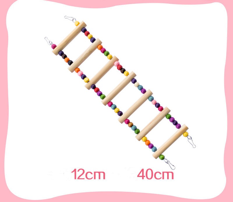 Perroquet avec jouets, anneau de balançoire, échelle aérienne, échelle d'escalade