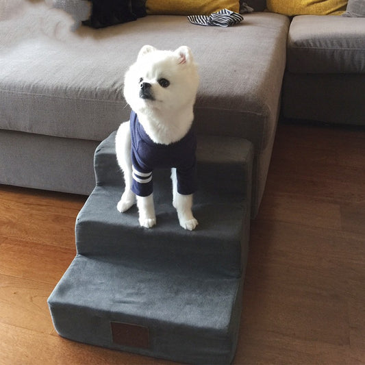 Escalier pour chien, marches en éponge pour accéder au lit, échelle