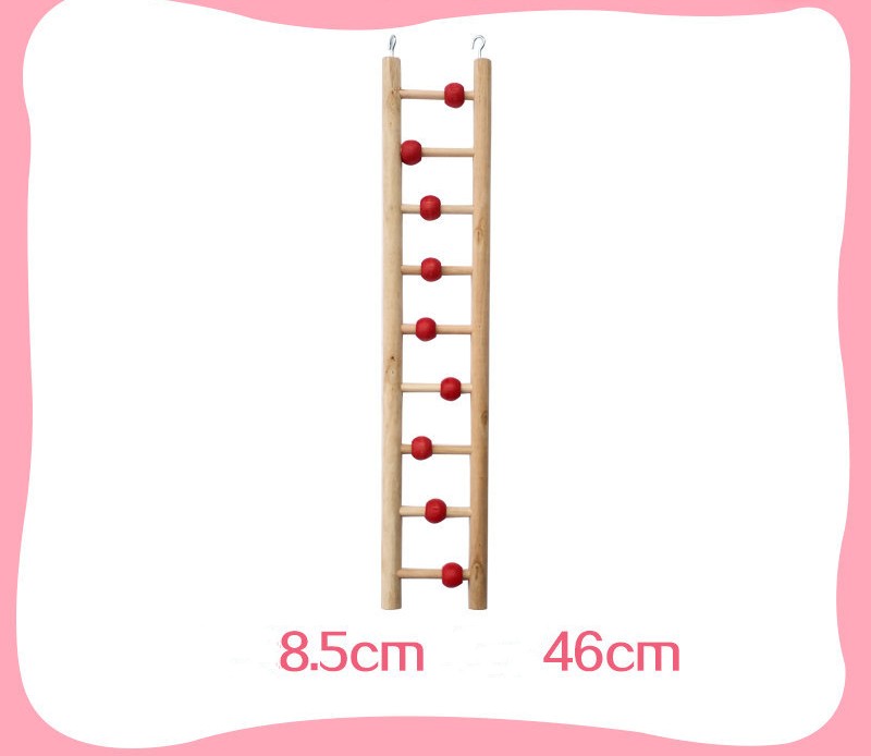Perroquet avec jouets, anneau de balançoire, échelle aérienne, échelle d'escalade