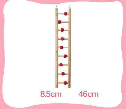 Perroquet avec jouets, anneau de balançoire, échelle aérienne, échelle d'escalade