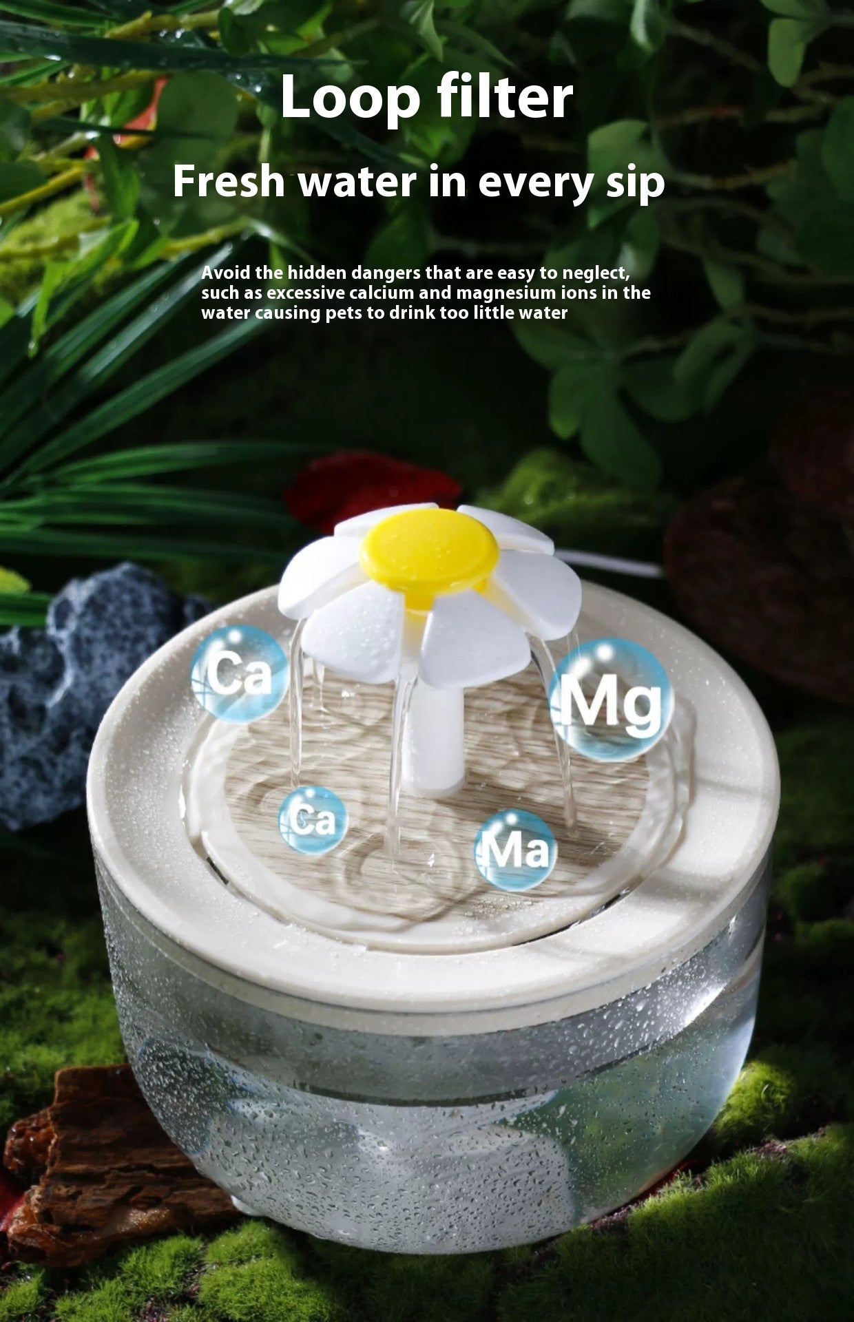 Fontaine à eau pour chat à circulation automatique et température constante