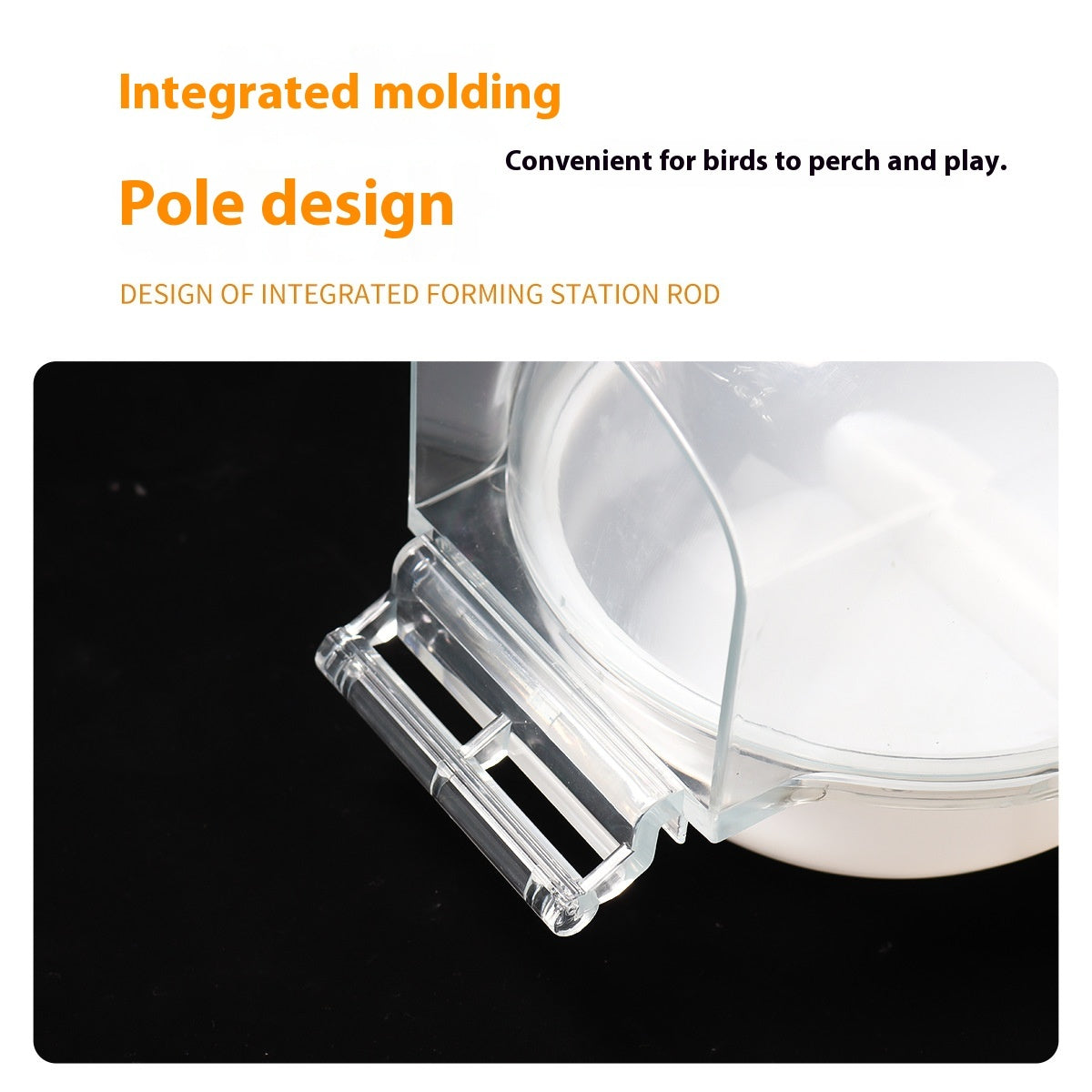 Baignoire pour perroquets à brancher