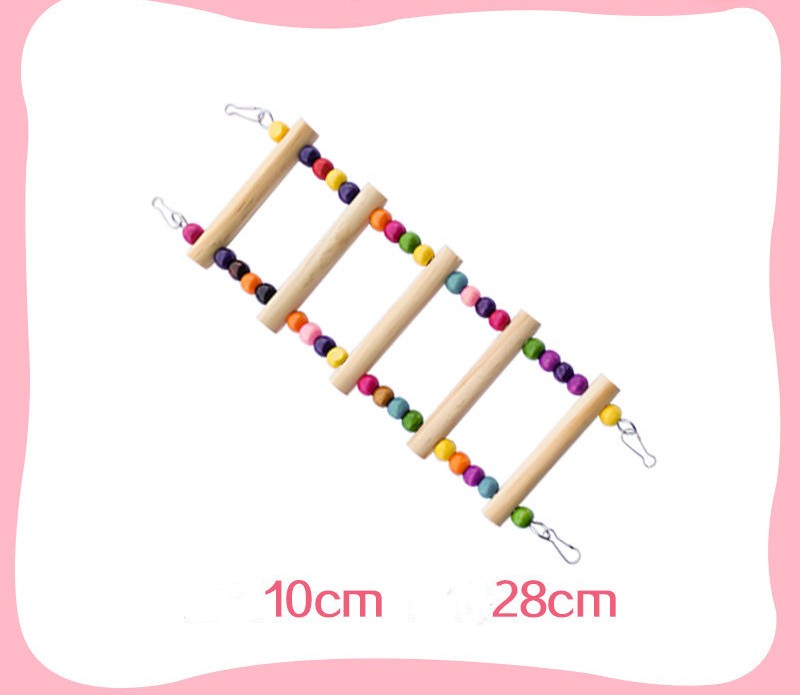 Perroquet avec jouets, anneau de balançoire, échelle aérienne, échelle d'escalade