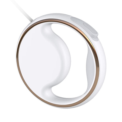 Éclairage automatique et laisse rétractable pour chien