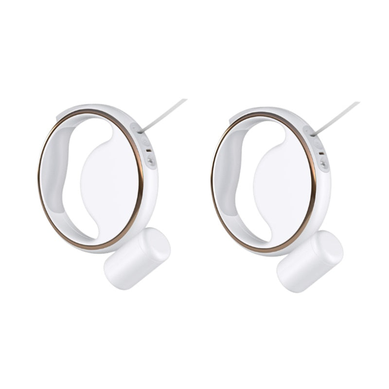 Éclairage automatique et laisse rétractable pour chien