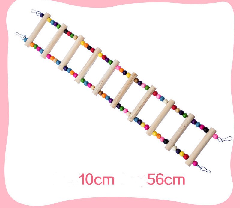 Perroquet avec jouets, anneau de balançoire, échelle aérienne, échelle d'escalade