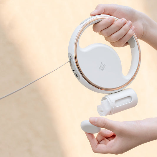 Éclairage automatique et laisse rétractable pour chien