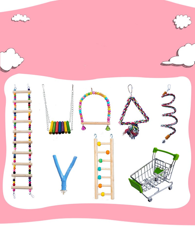 Perroquet avec jouets, anneau de balançoire, échelle aérienne, échelle d'escalade