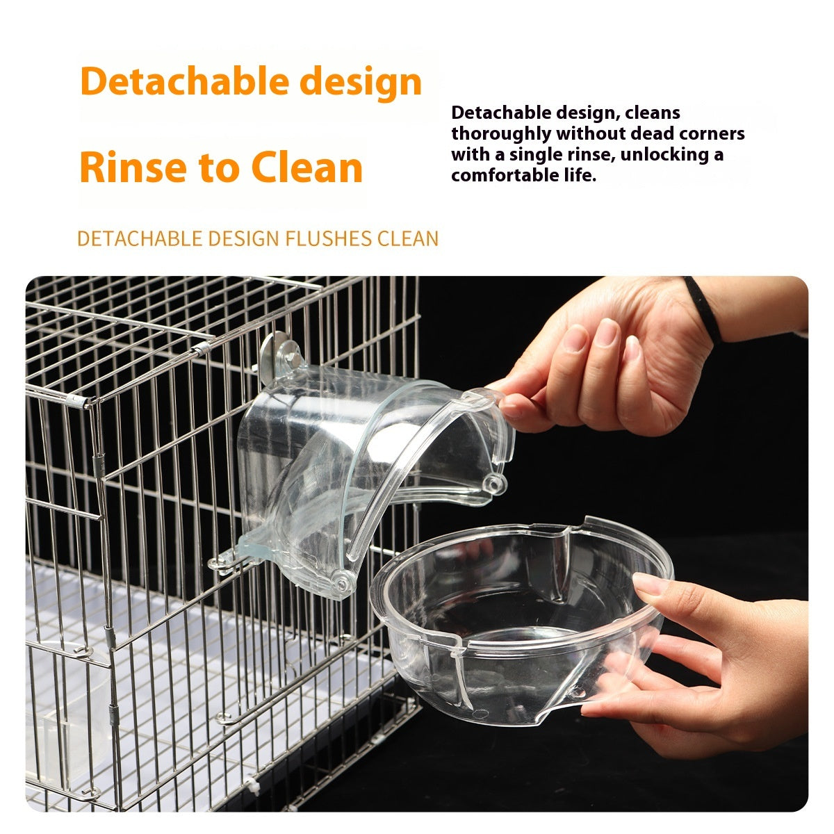 Baignoire pour perroquets à brancher