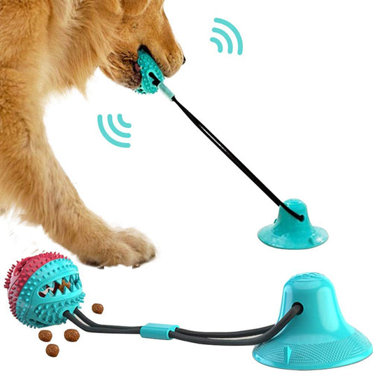 Jouet pour chien en silicone à ventouse, balle interactive à mâcher et à mordiller, brosse à dents, accessoires pour animaux de compagnie 