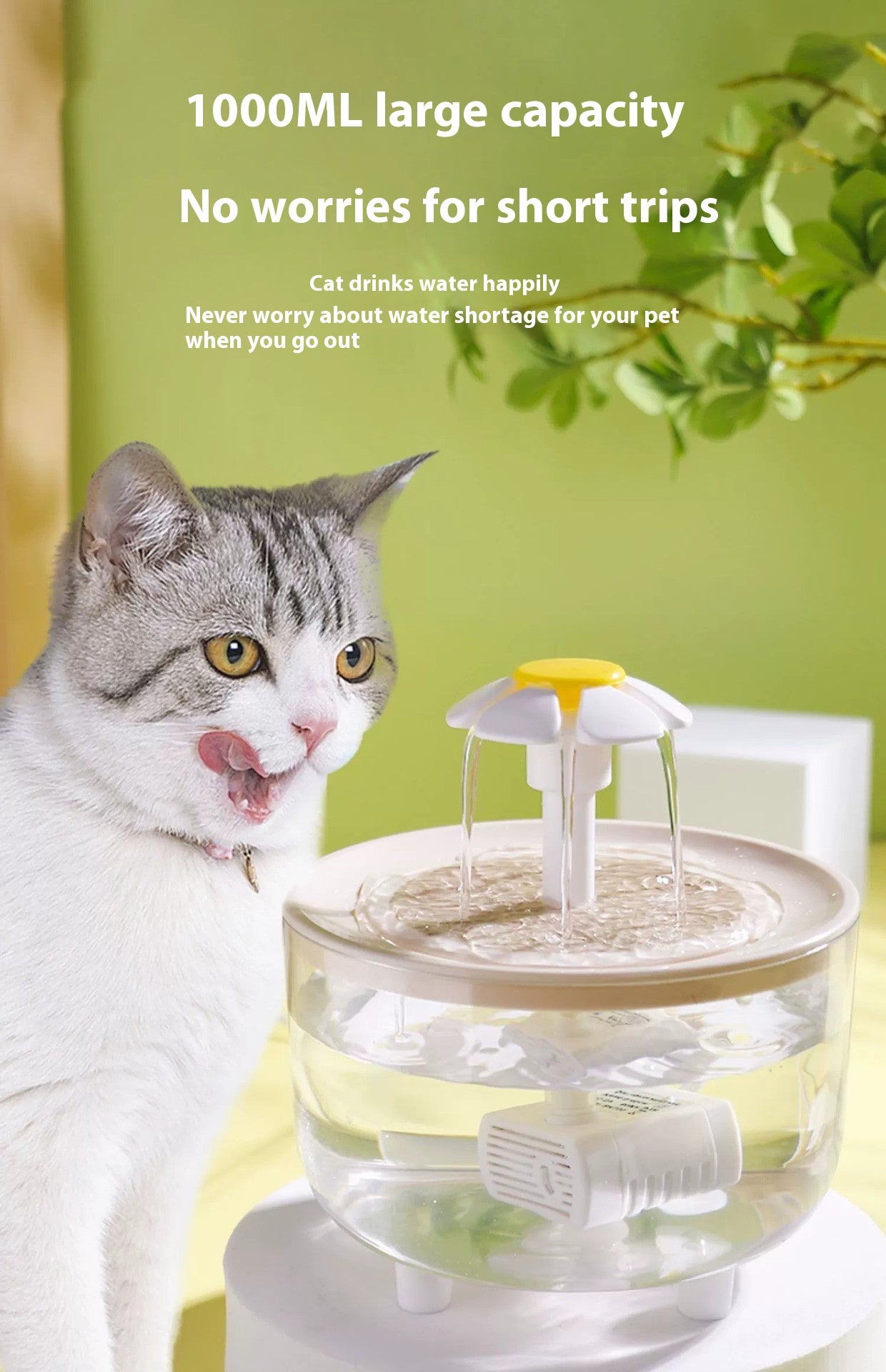 Fontaine à eau pour chat à circulation automatique et température constante