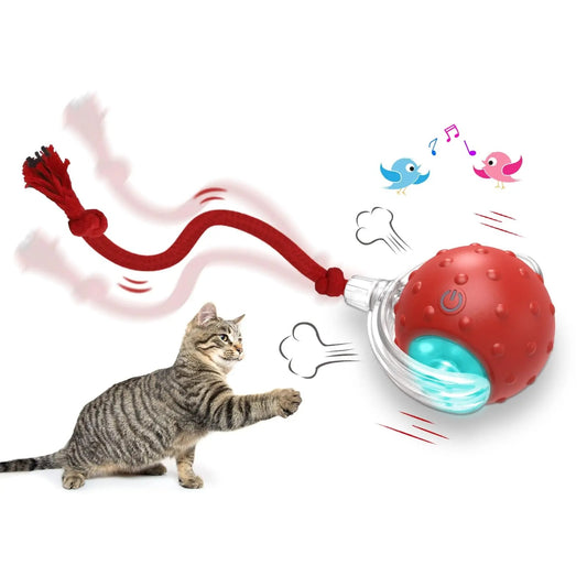 Balle interactive pour chat Super Drive Cat à rouler