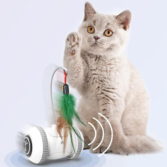 Jouet interactif pour chat avec têtes interchangeables et plumes pour animaux de compagnie